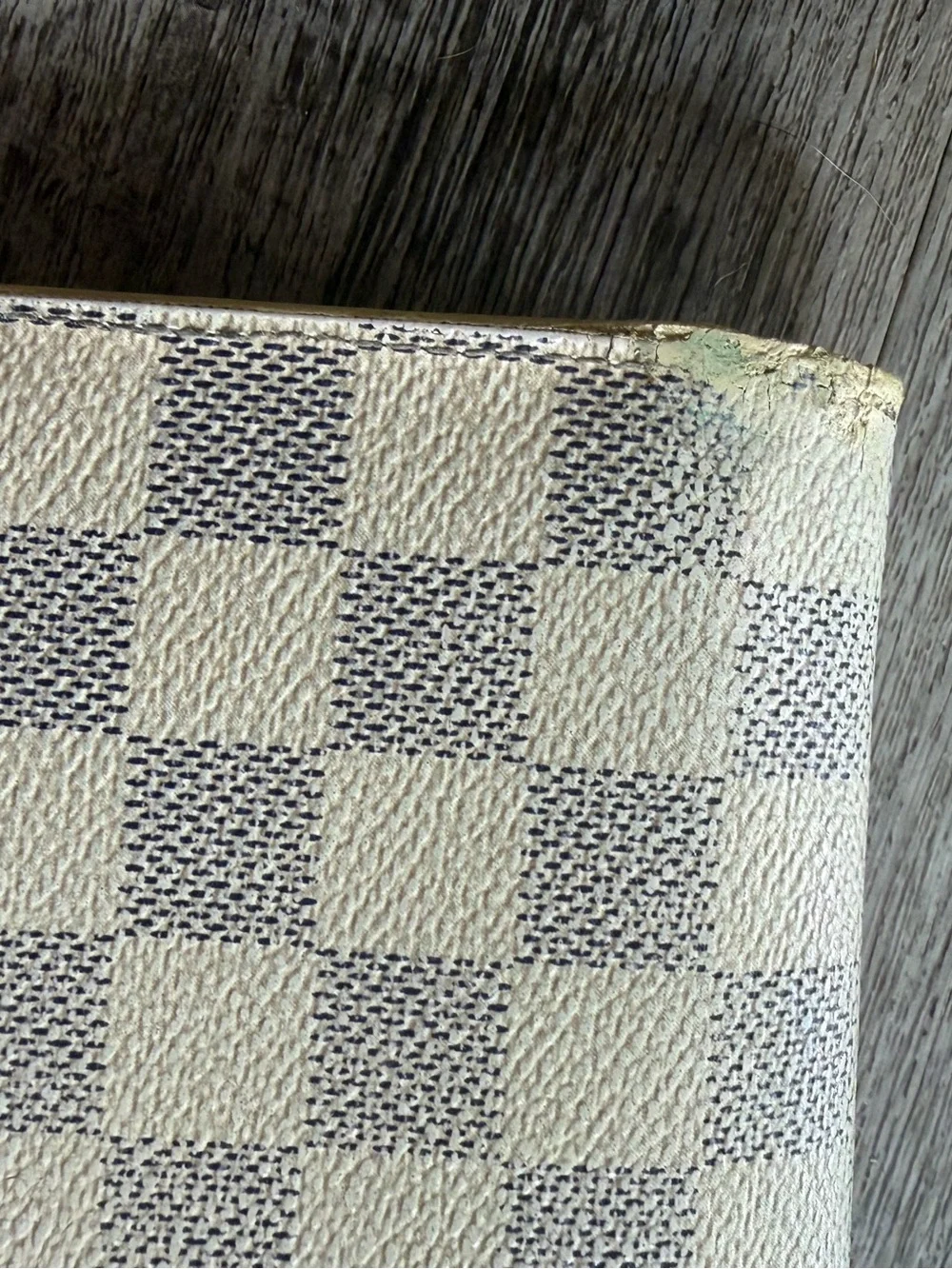 Louis Vuitton authentic louis